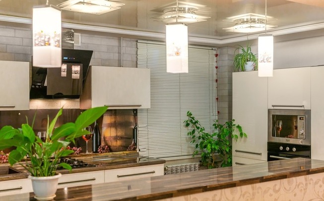 Современная кухня с барной стойкой между кухней и залом